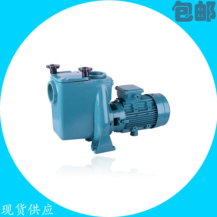 首单免邮费泳池铸铁水泵离心式水循坏统设备游泳池过滤水泵图片_高清图_细节图-北京创世羽商贸 -