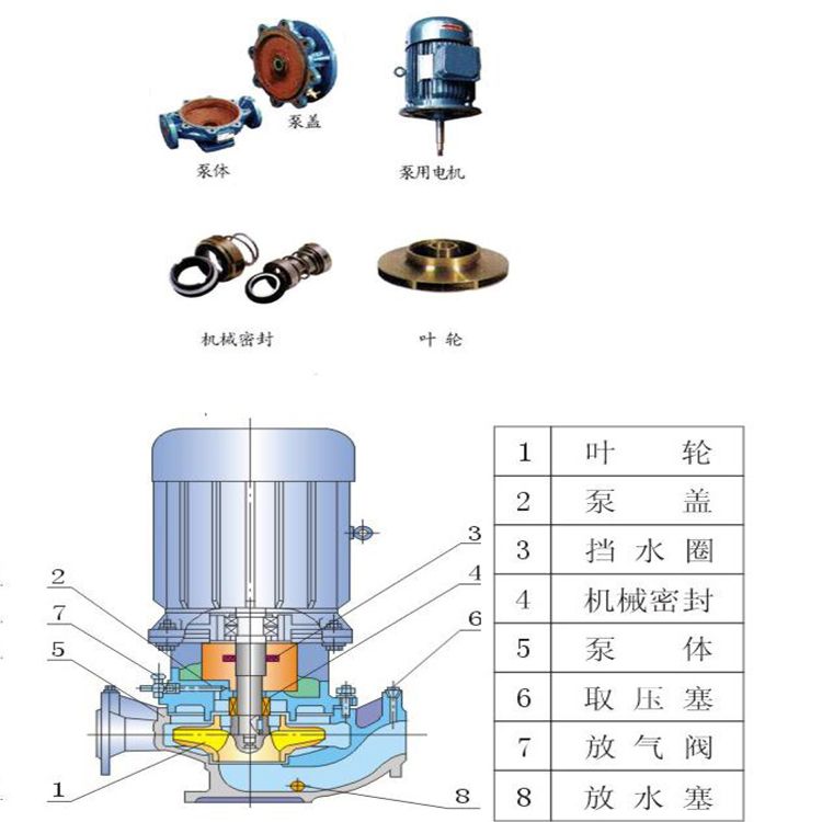 上海连泉YG150-160A立式管道泵 工业流体的高效输送专家